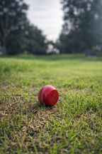 Leather & Willow Seam Trainer