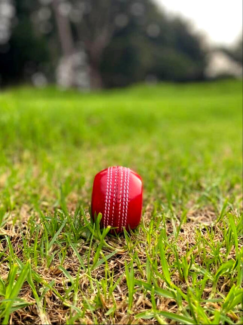 Red cricket ball on a grassy field with trees in the background