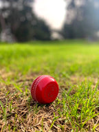 Leather & Willow Seam Trainer